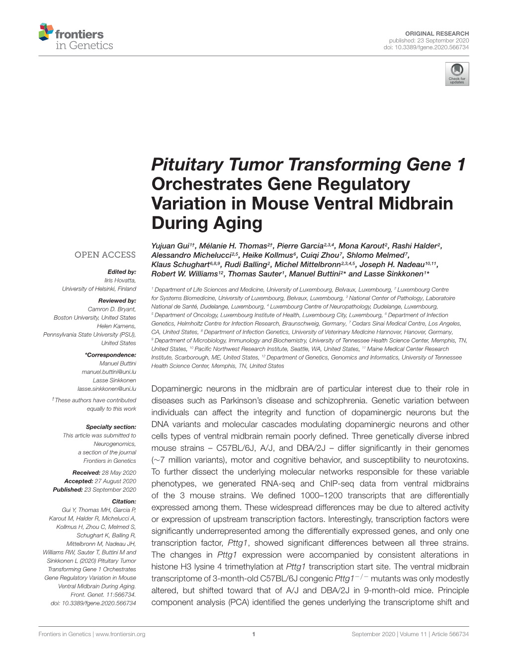 Pituitary Tumor Transforming Gene 1 Orchestrates Gene Regulatory Variation in Mouse Ventral Midbrain During Aging