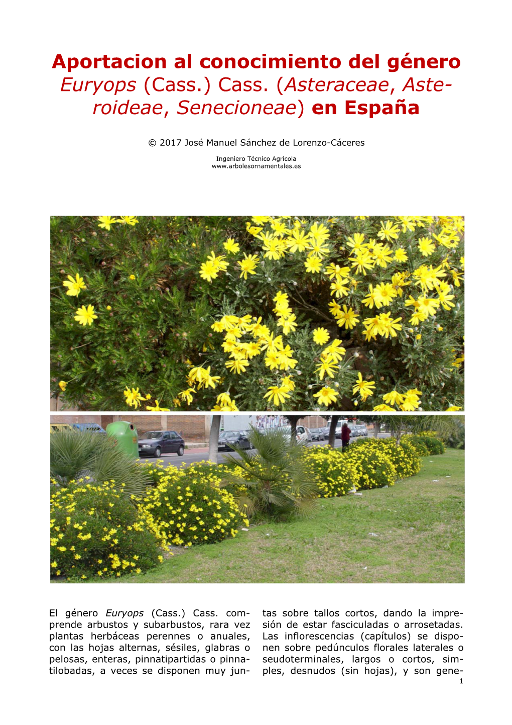 Aportacion Al Conocimiento Del Género Euryops (Cass.) Cass