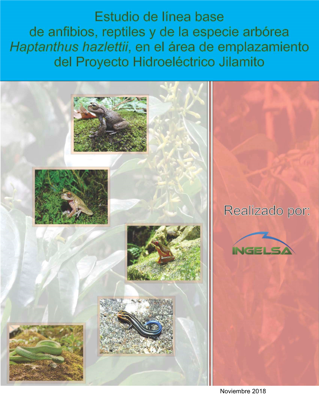 Noviembre 2018 Informe De Línea Base De Anfibios, Reptiles Y Haptanthus Hazlettii