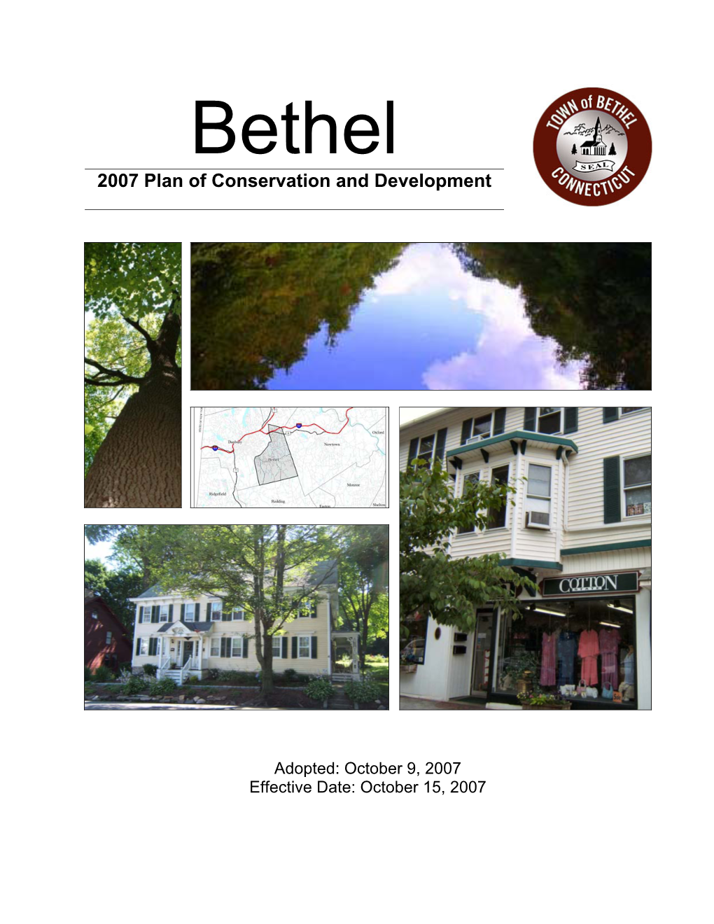 Town of Bethel Over the Next Ten Years