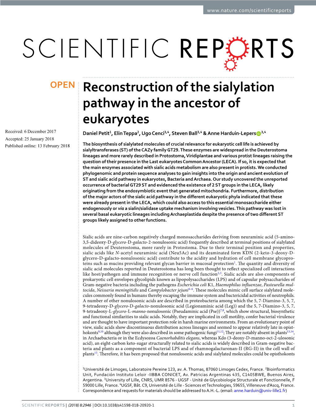 Reconstruction of the Sialylation Pathway in the Ancestor of Eukaryotes
