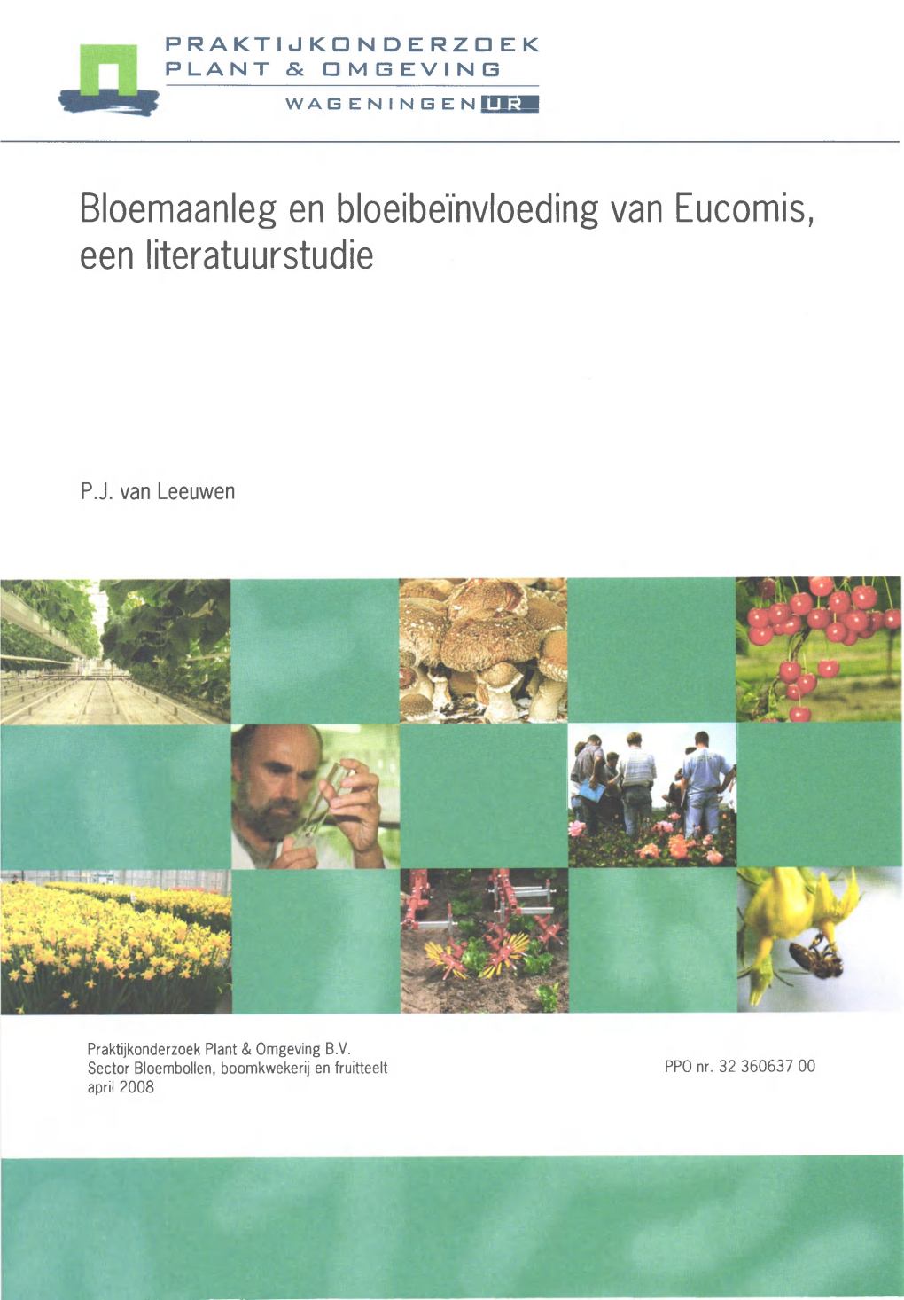 Bloemaanleg En Bloeibeïnvloeding Van Eucomis, Een Literatuurstudie