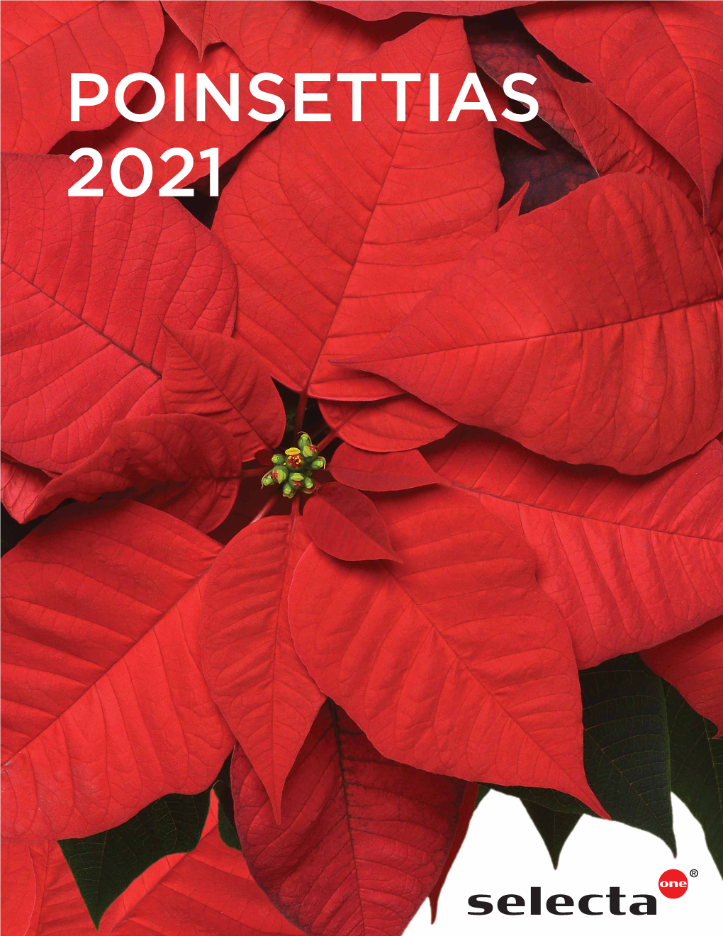 Poinsettias 2021 Table of Contents