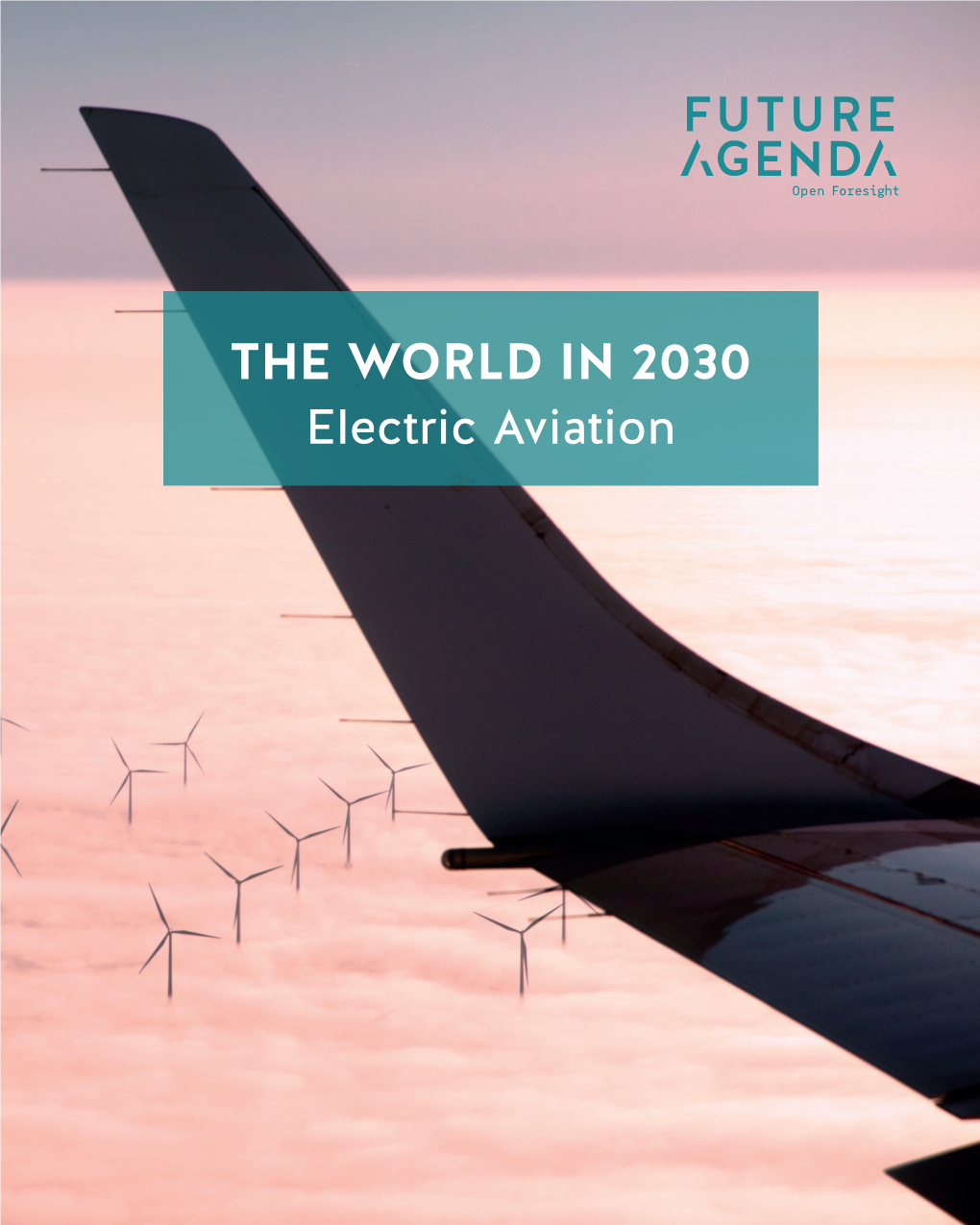 The World in 2030 in World the the WORLD in 2030 Electric Aviation Electric Aviation