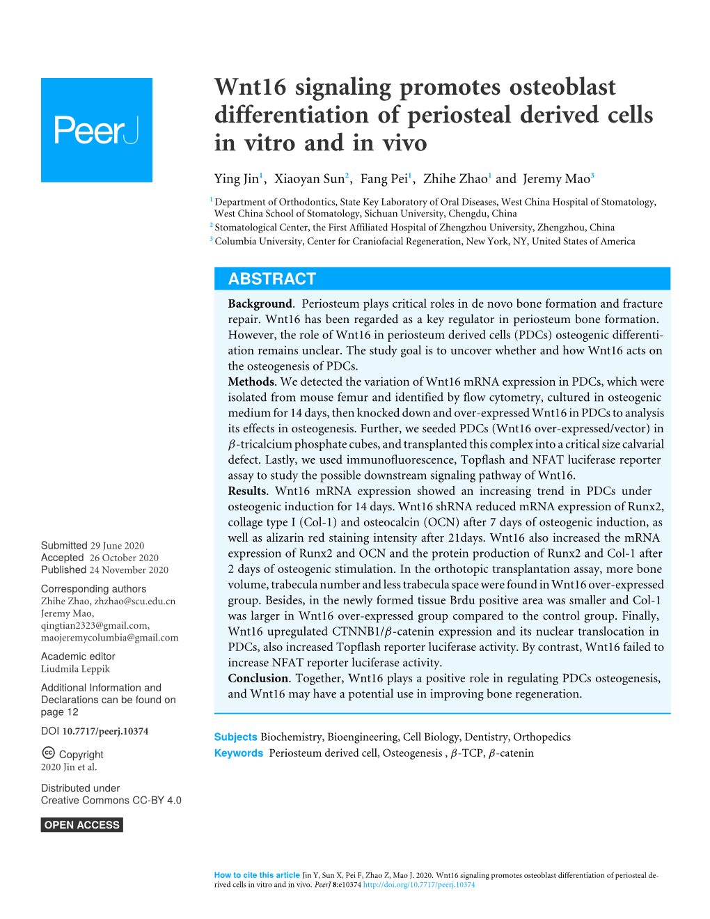 Wnt16 Signaling Promotes Osteoblast Differentiation of Periosteal Derived Cells in Vitro and in Vivo