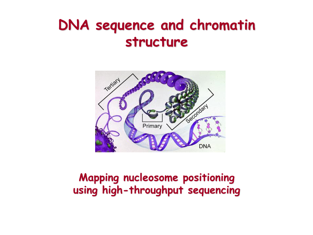 DNA Sequence and Chromatin Structure