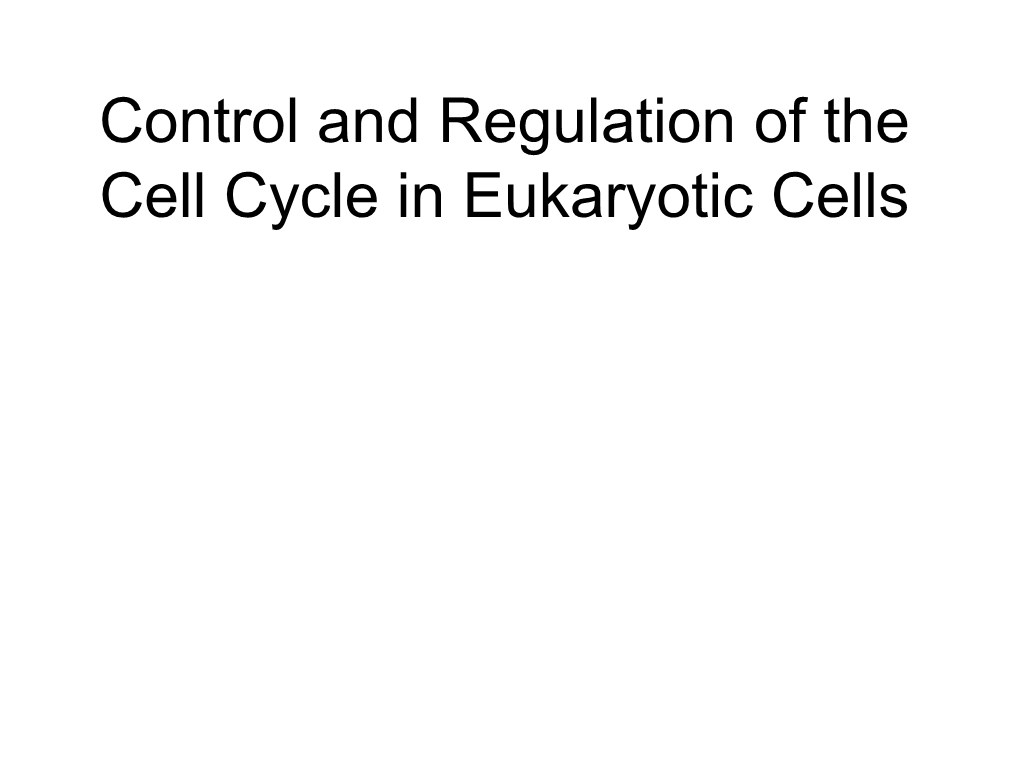 Control and Regulation of the Cell Cycle in Eukaryotic Cells