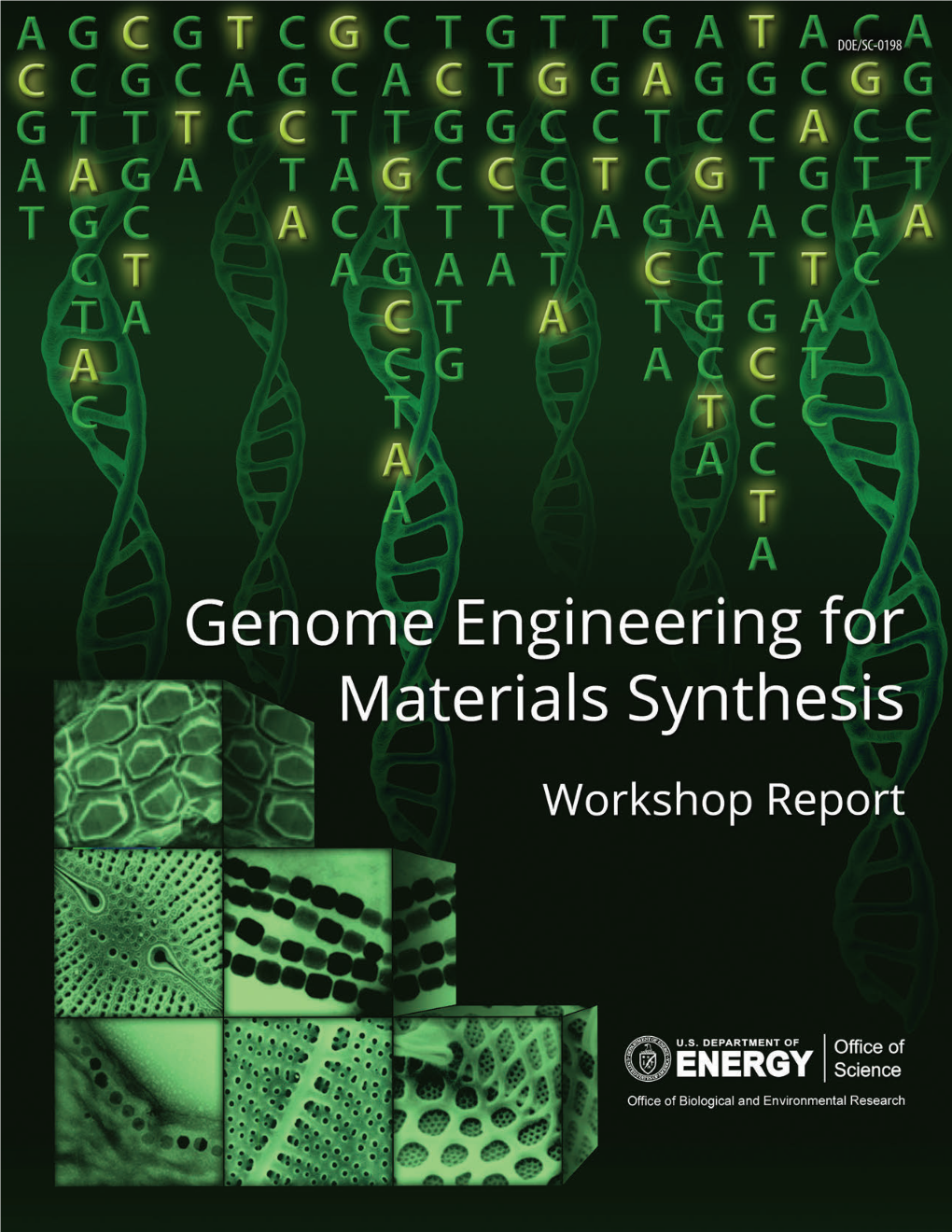 Genome Engineering for Materials Synthesis 2019