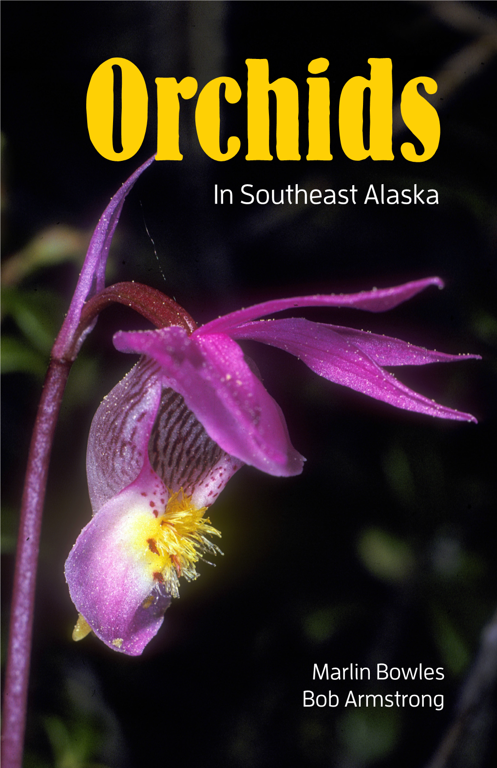 Orchids in Southeast Alaska