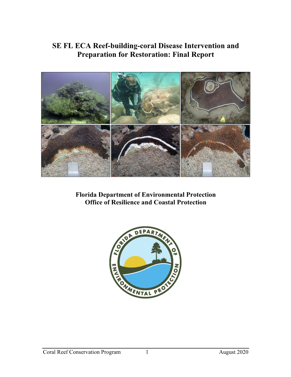 SE FL ECA Reef-Building-Coral Disease Intervention and Preparation for Restoration: Final Report