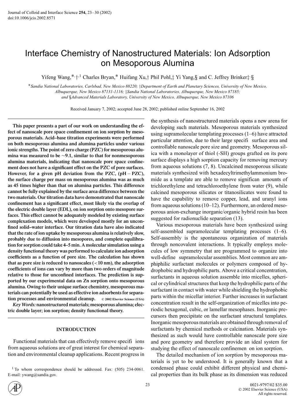 Ion Adsorption on Mesoporous Alumina