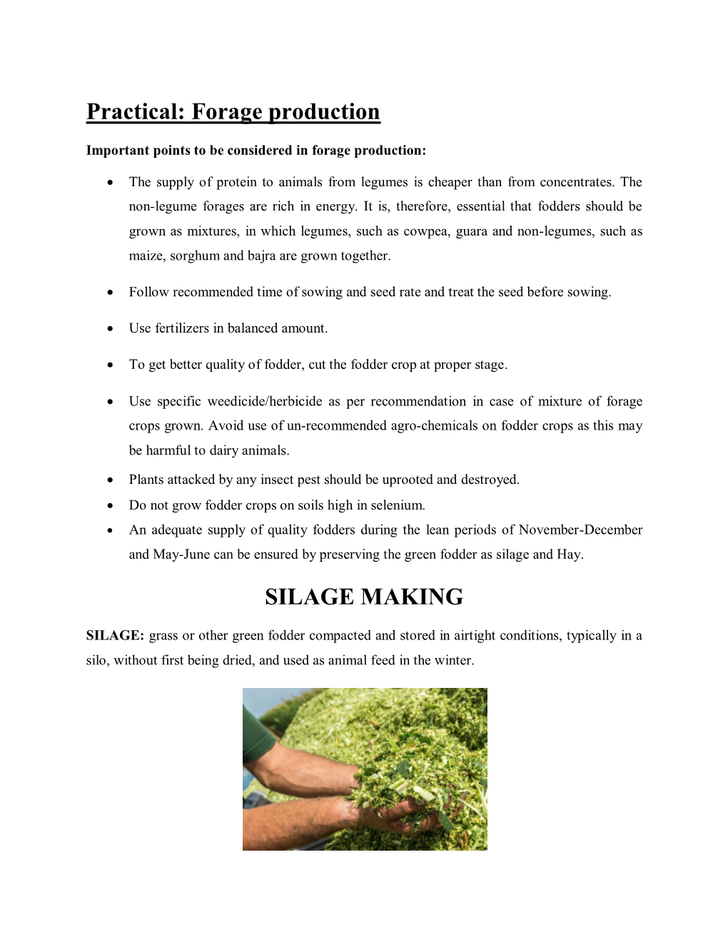 Practical: Forage Production SILAGE MAKING