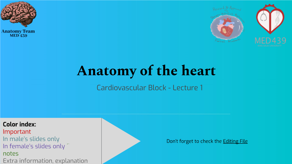 Anatomy of the Heart Cardiovascular Block - Lecture 1
