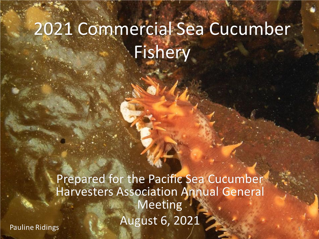 2021 Commercial Sea Cucumber Fishery