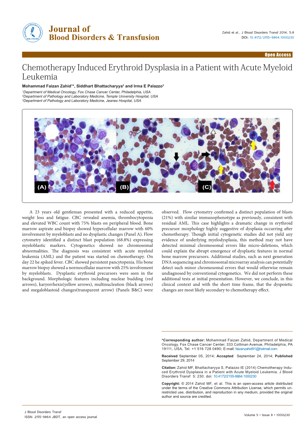 Chemotherapy Induced Erythroid Dysplasia in a Patient with Acute