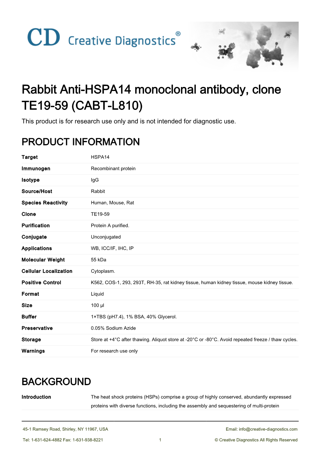 Rabbit Anti-HSPA14 Monoclonal Antibody, Clone TE19-59 (CABT-L810) This Product Is for Research Use Only and Is Not Intended for Diagnostic Use
