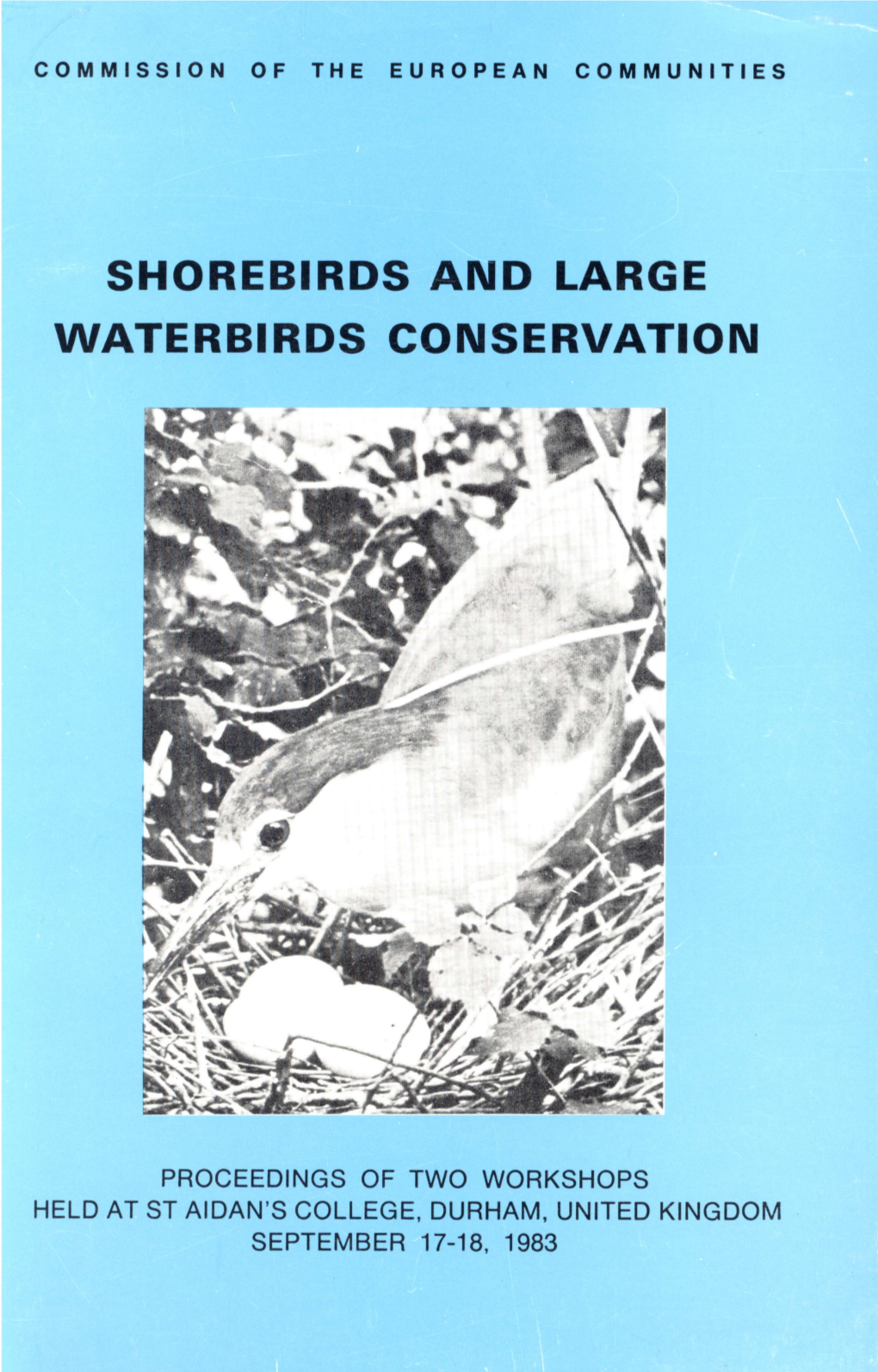 SHOREBIRDS and LARGE Futr