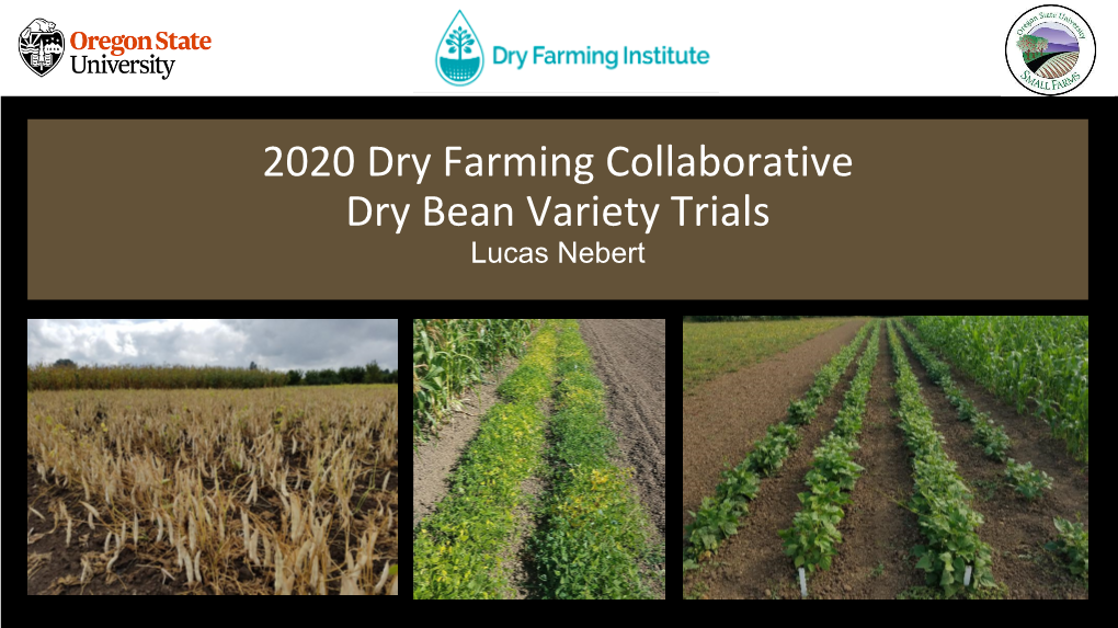 2020 Dry Farming Collaborative Dry Bean Variety Trials
