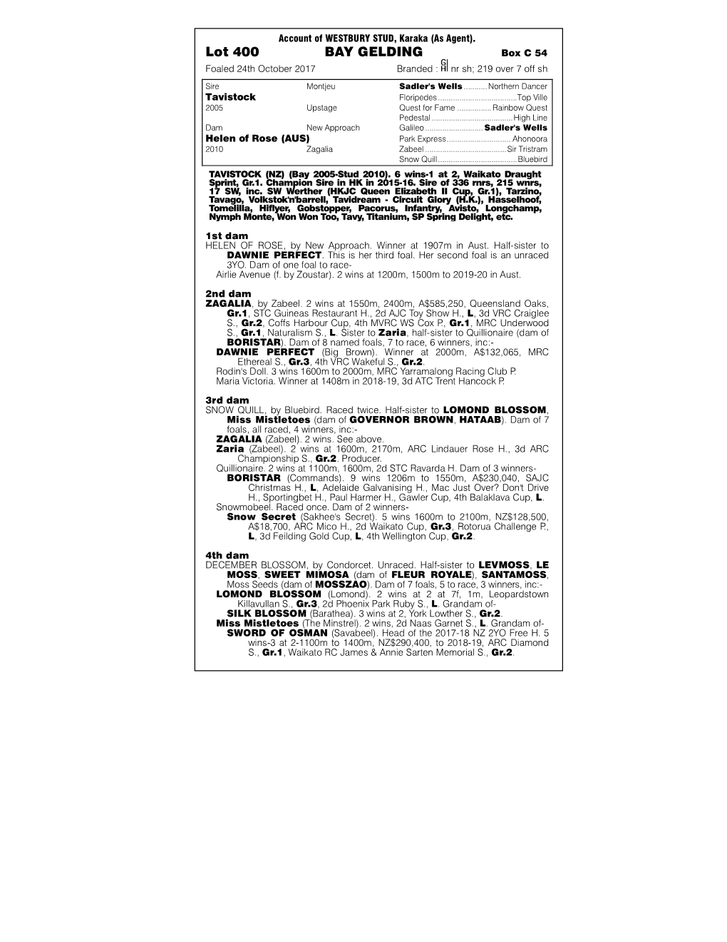 Lot 400 BAY GELDING Box C 54 Foaled 24Th October 2017 Branded : Nr Sh; 219 Over 7 Off Sh