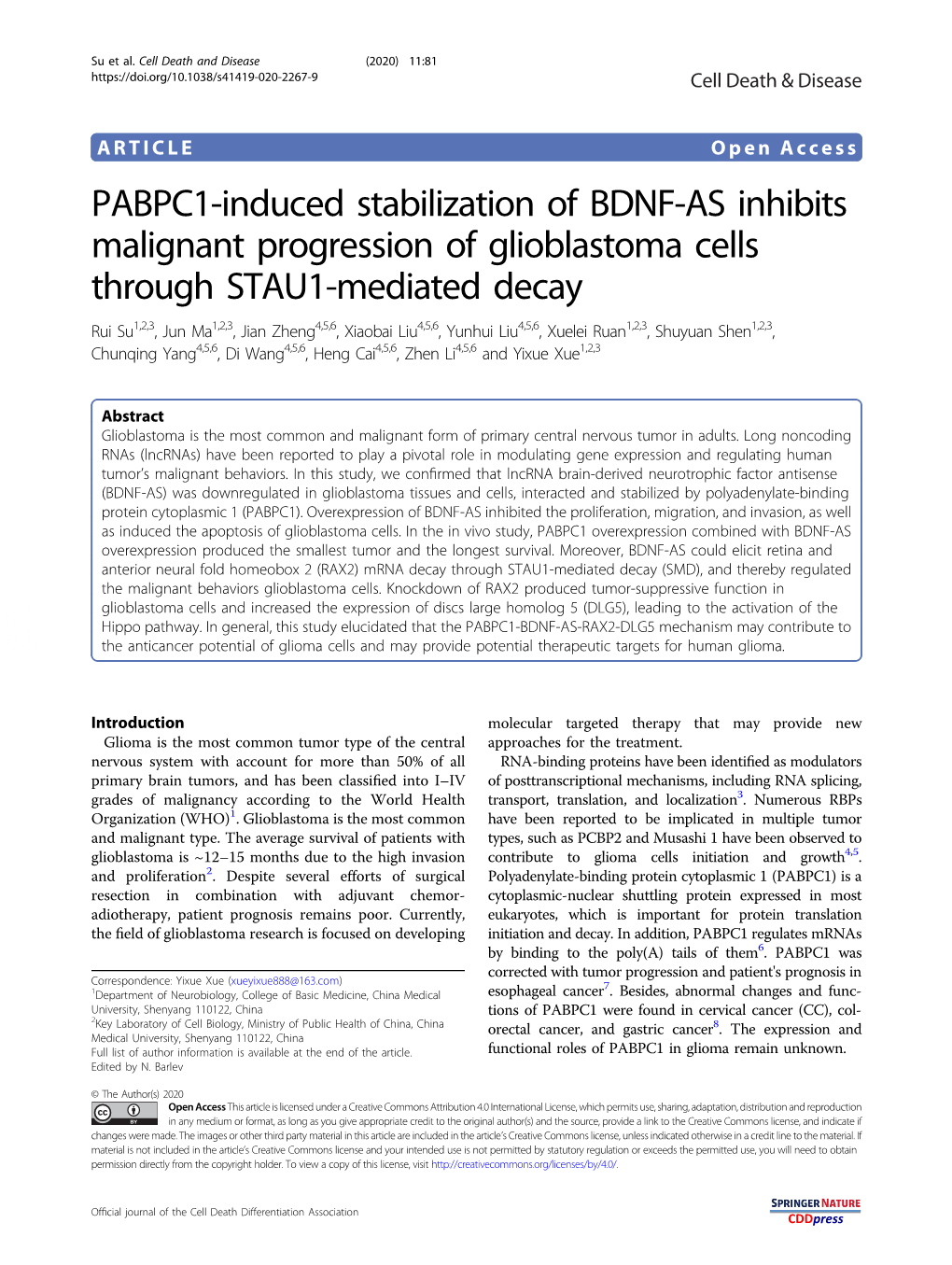PABPC1-Induced Stabilization of BDNF-AS Inhibits Malignant