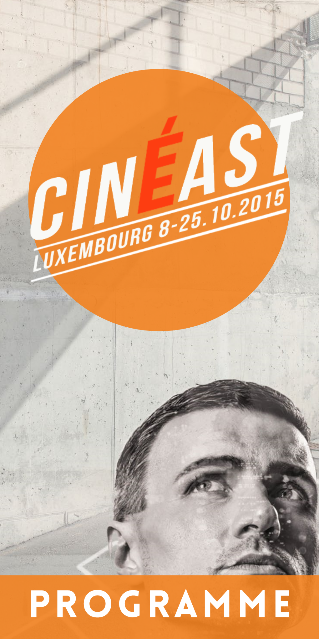 Cineast 2015 Flyer-Programme