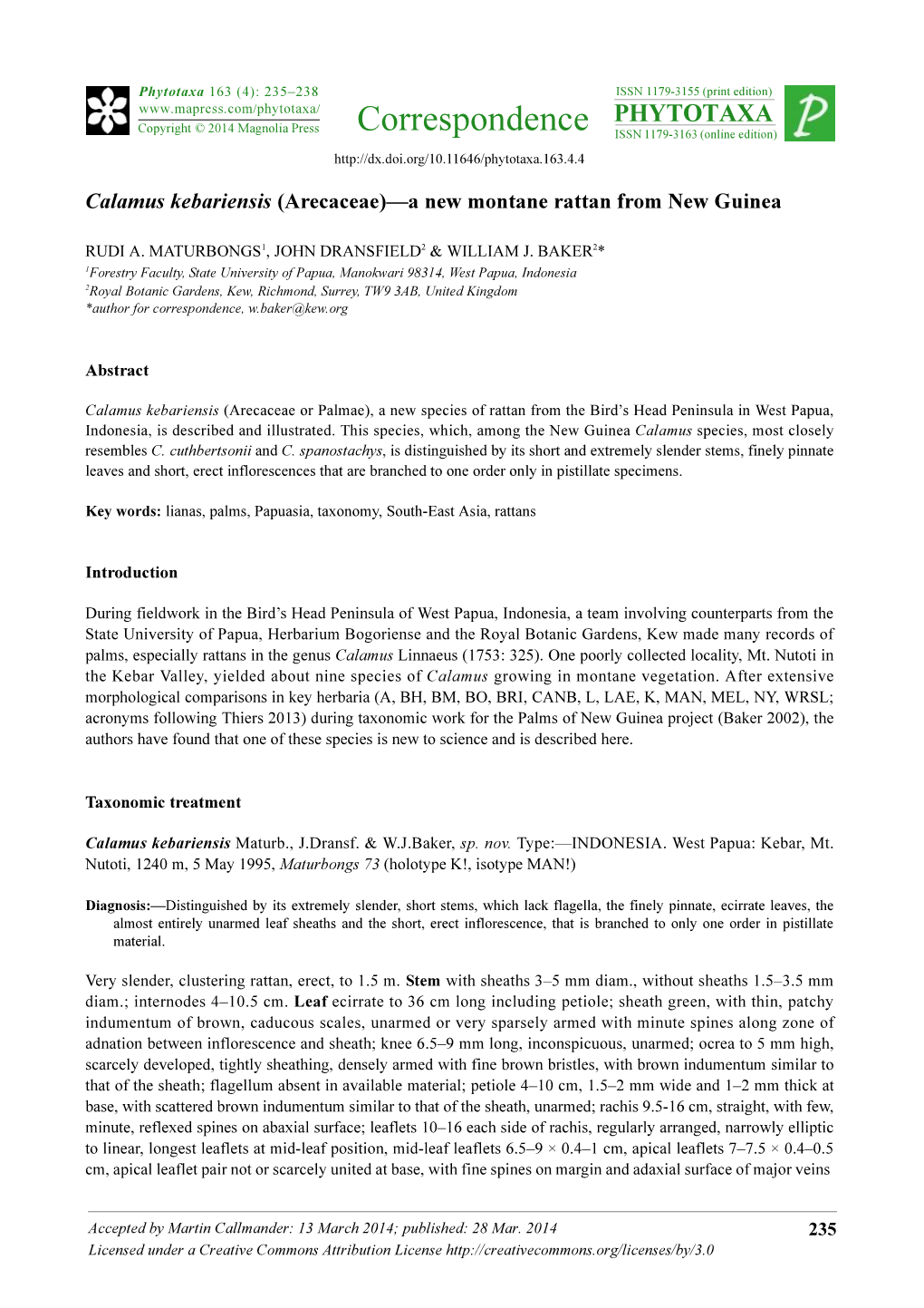 Calamus Kebariensis (Arecaceae)—A New Montane Rattan from New Guinea