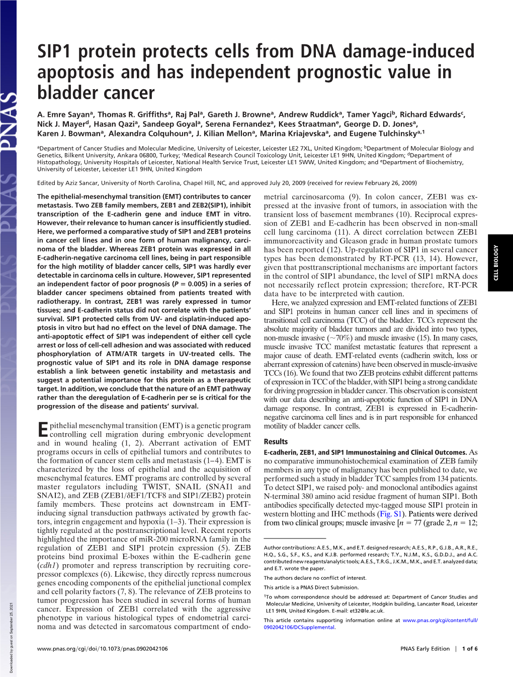 SIP1 Protein Protects Cells from DNA Damage-Induced Apoptosis and Has Independent Prognostic Value in Bladder Cancer