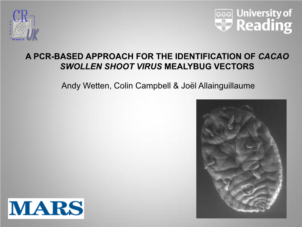 A Pcr-Based Approach for the Identification of Cacao Swollen Shoot Virus Mealybug Vectors