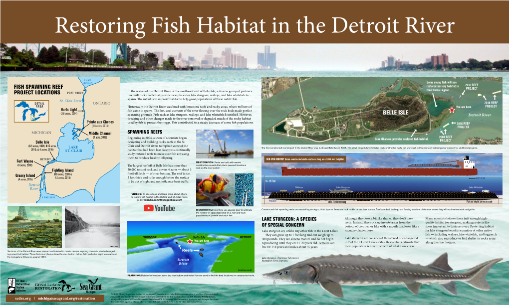 Restoring Fish Habitat in the Detroit River