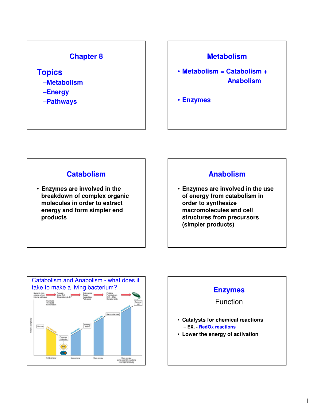 Topics • Metabolism = Catabolism + –Metabolism Anabolism –Energy –Pathways • Enzymes