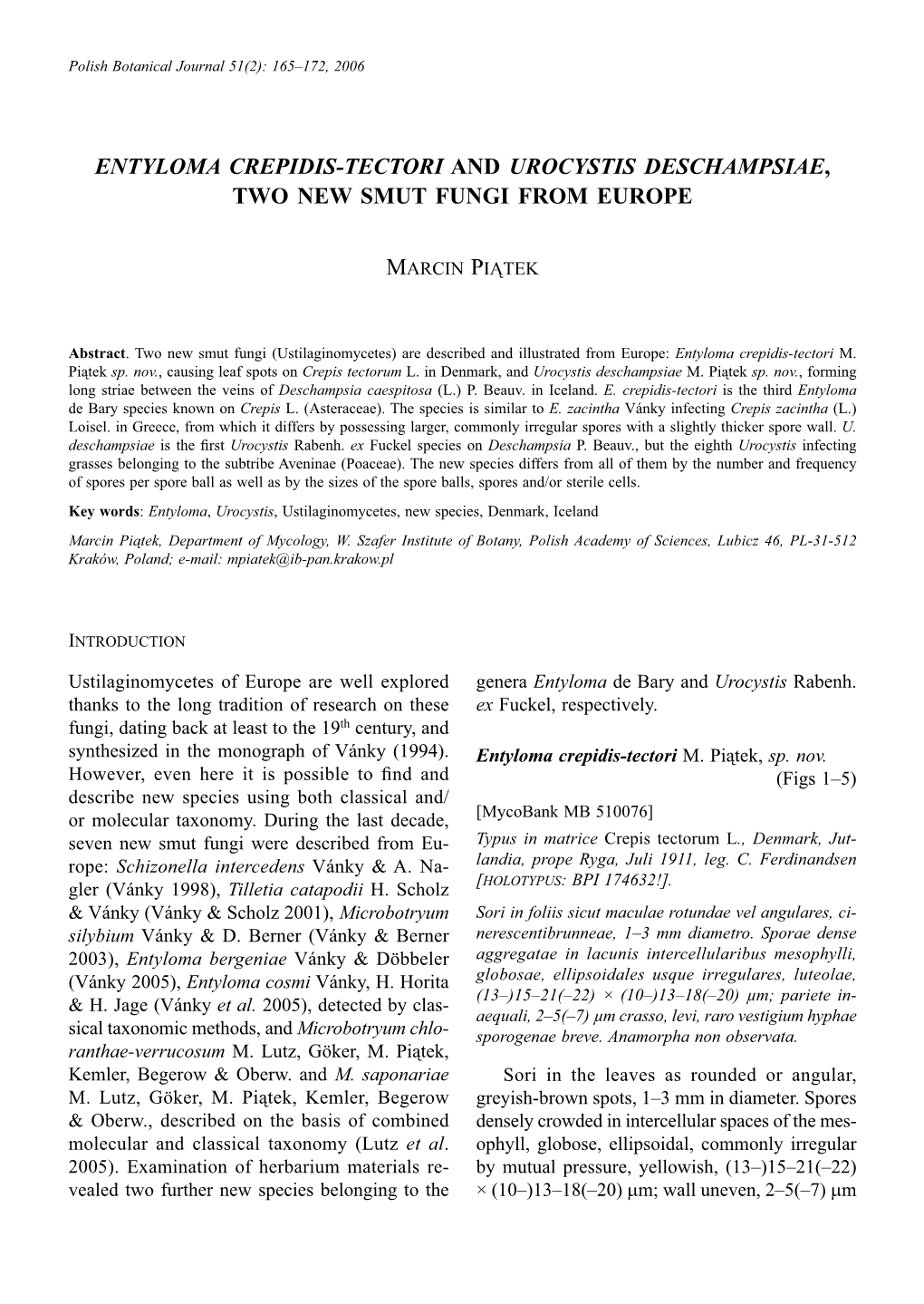 Entyloma Crepidis-Tectori and Urocystis Deschampsiae, Two New Smut Fungi from Europe