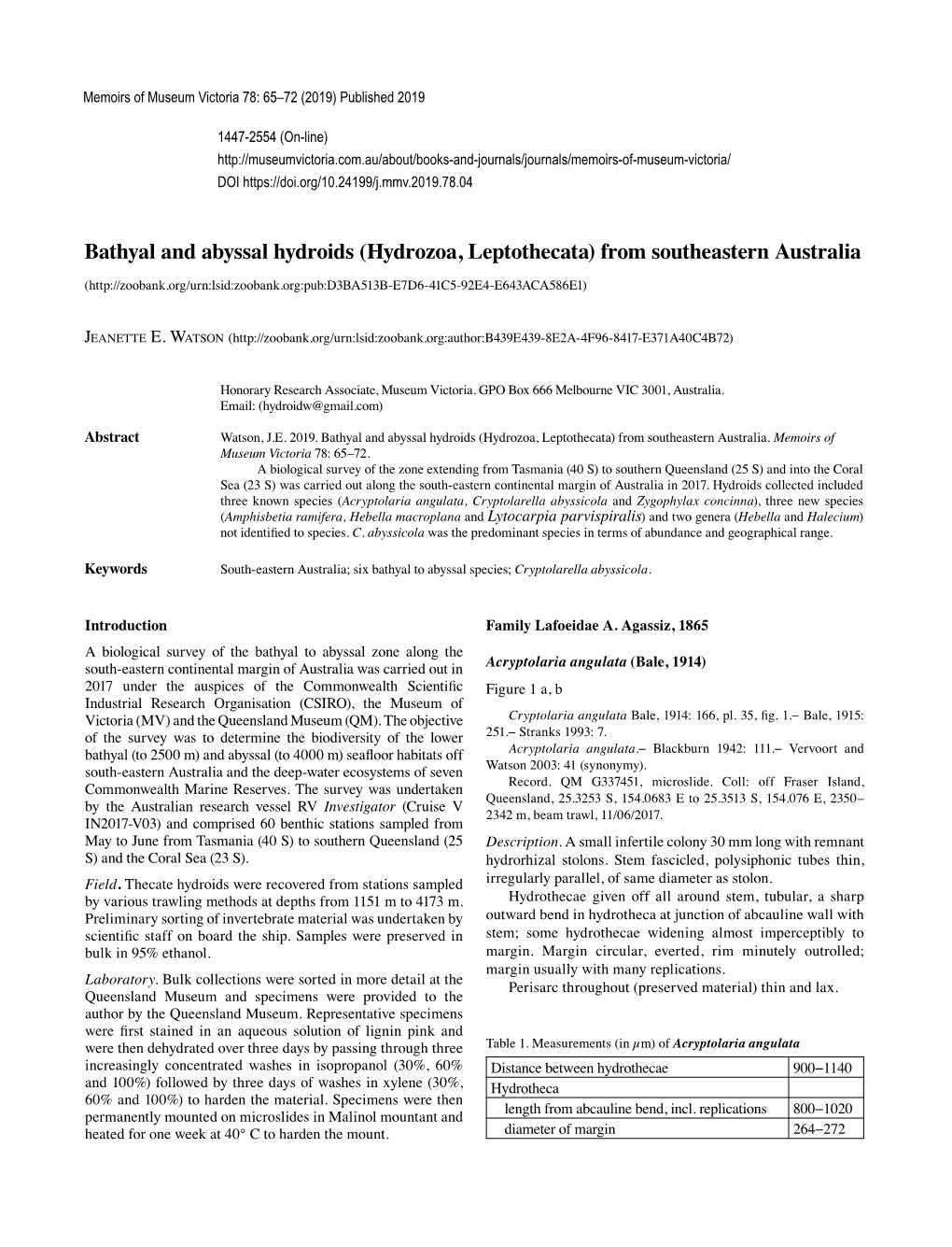 Bathyal and Abyssal Hydroids (Hydrozoa, Leptothecata) from Southeastern Australia