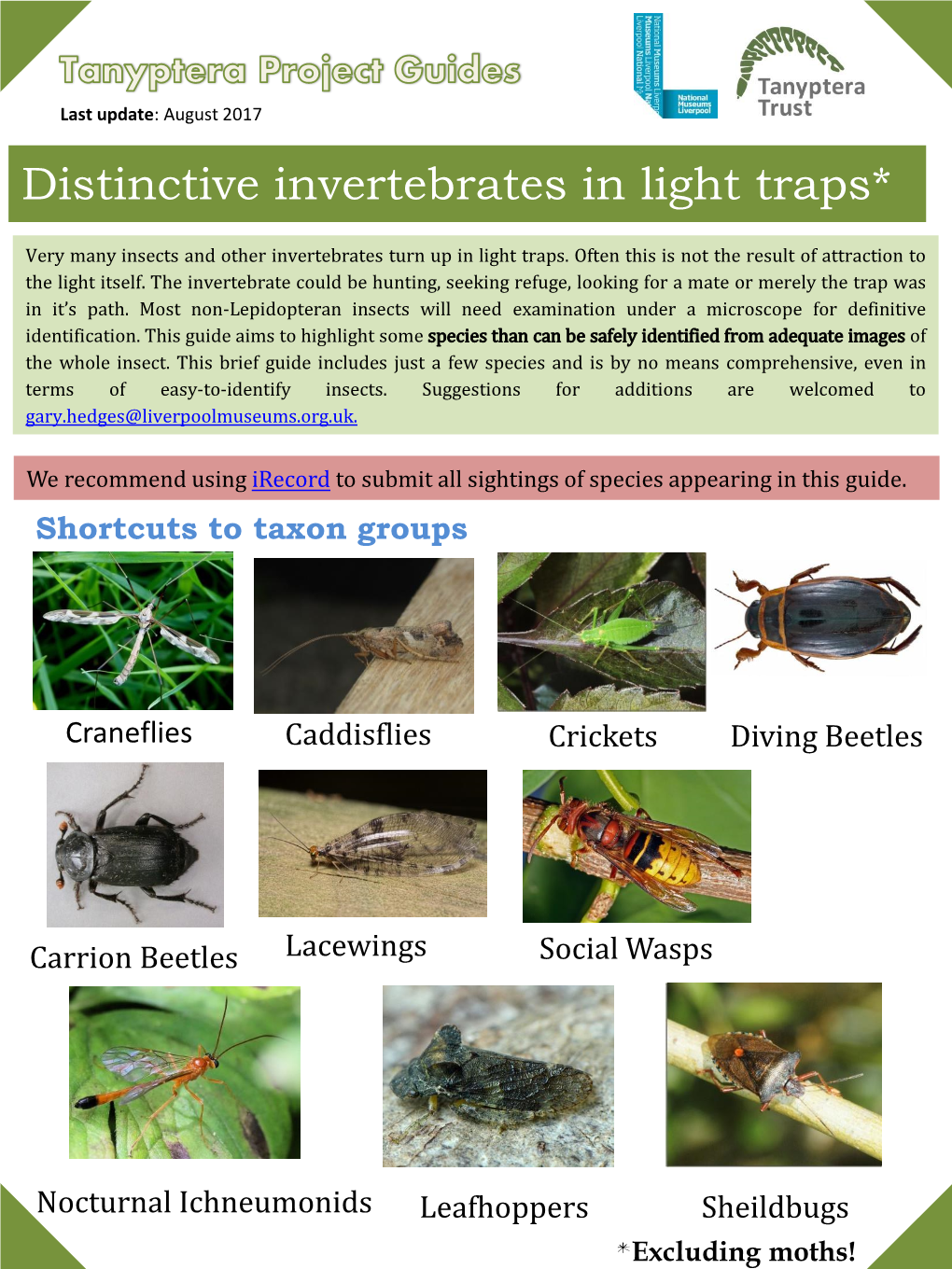 Distinctive Invertebrates in Light Traps*