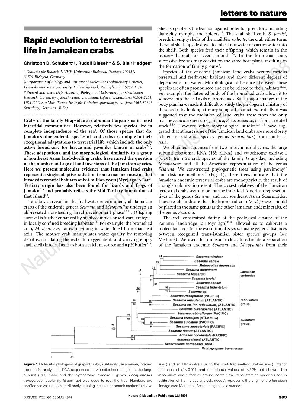 Rapid Evolution to Terrestrial Life in Jamaican Crabs