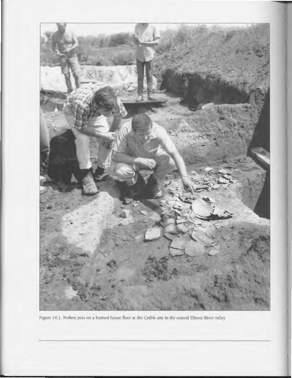 Figure 14.1. Broken Pots on a Burned House Floor at the Crable Site in the Central Illinois River Valley. Incinefated Villages • I Tile Nort