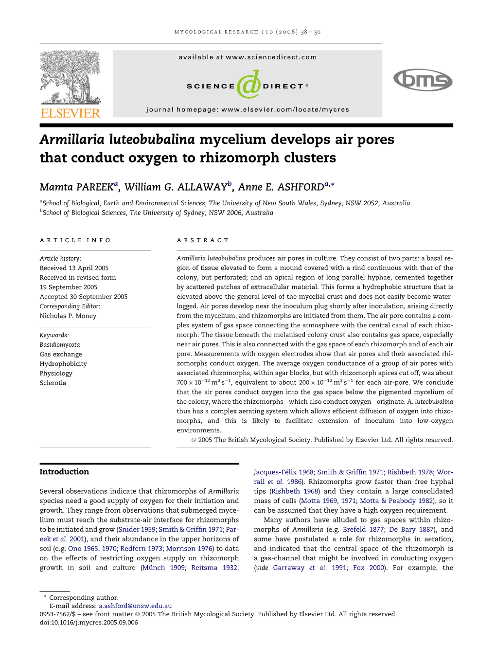 Armillaria Luteobubalina Mycelium Develops Air Pores That Conduct Oxygen to Rhizomorph Clusters