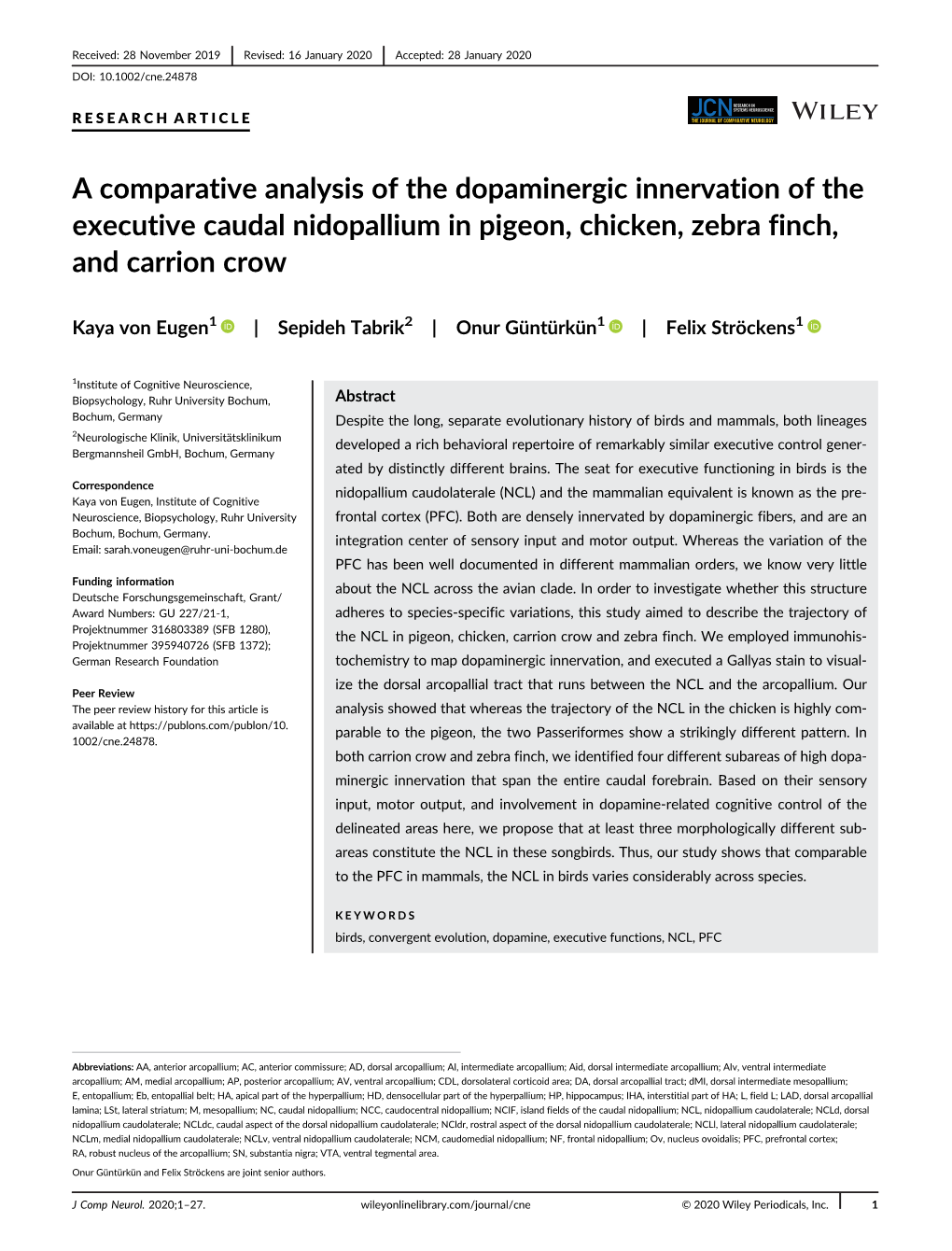 A Comparative Analysis of the Dopaminergic Innervation of the Executive Caudal Nidopallium in Pigeon, Chicken, Zebra Finch, and Carrion Crow