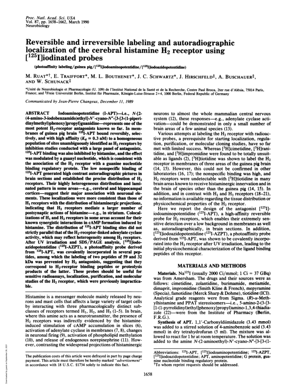 Iodinated Probes (Photoaffinity Labeling/Guinea Pig/['25I]Iodoaminopotentidine/[1"I]Iodoazidopotentidine) M