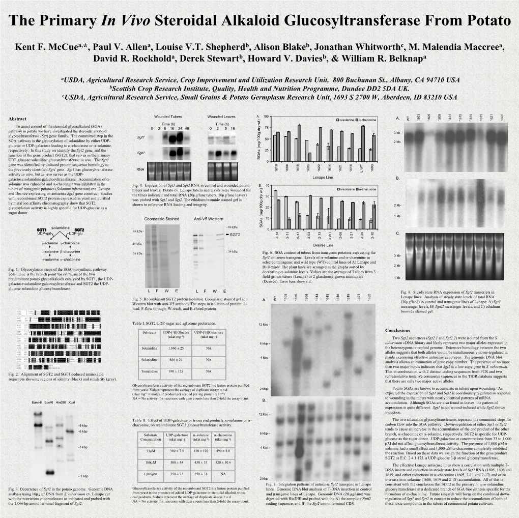 The Primary in Vivo Steroidal Alkaloid Glucosyltransferase from Potato