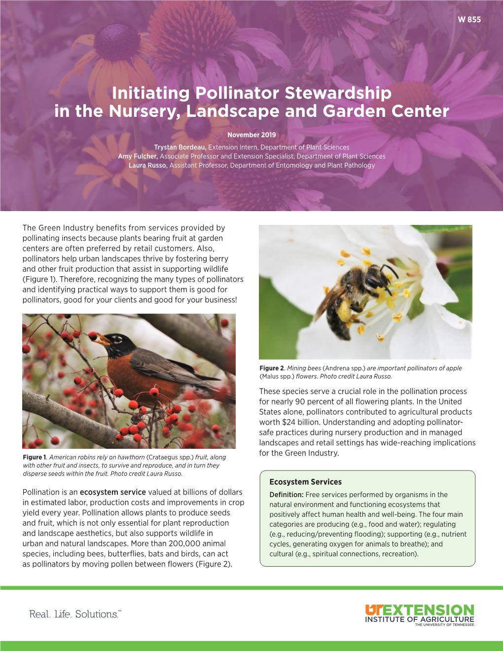 Initiating Pollinator Stewardship in the Nursery, Landscape and Garden Center