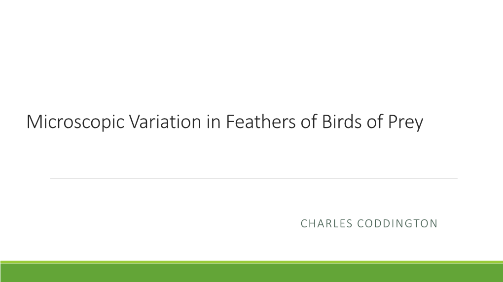 P16 – Microscopic Variation in Feathers of Birds of Prey