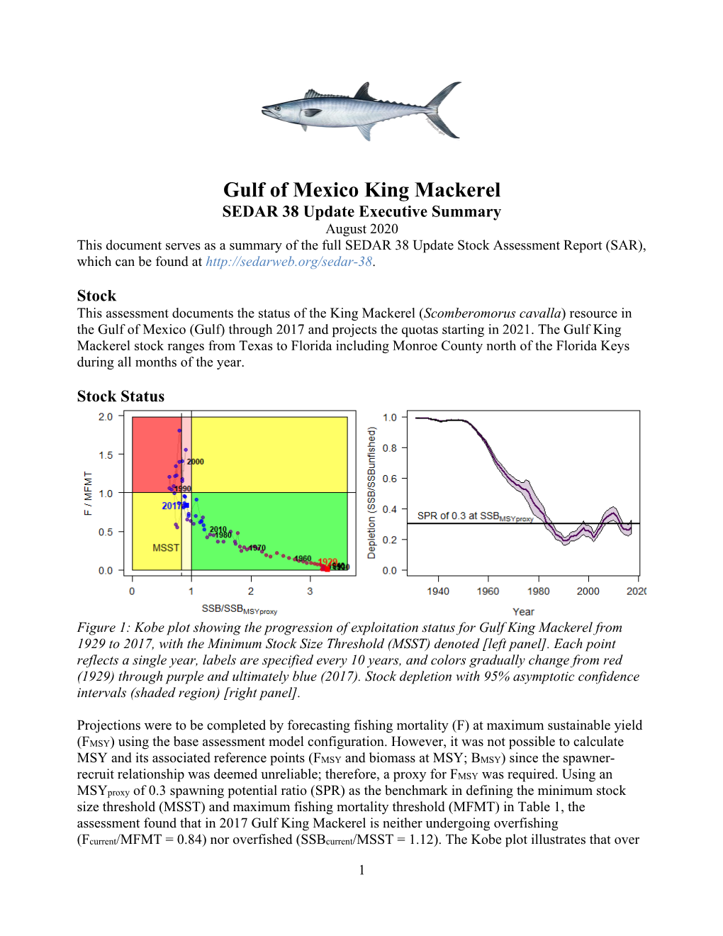 Gulf of Mexico King Mackerel