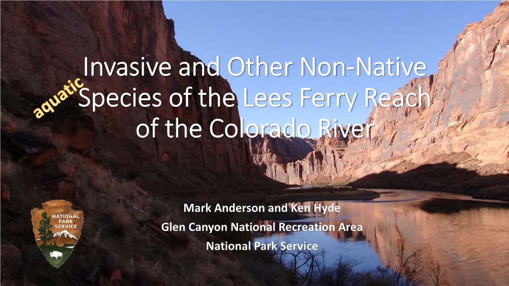 Invasive and Other Non-Native Species of the Lees Ferry Reach of the Colorado River