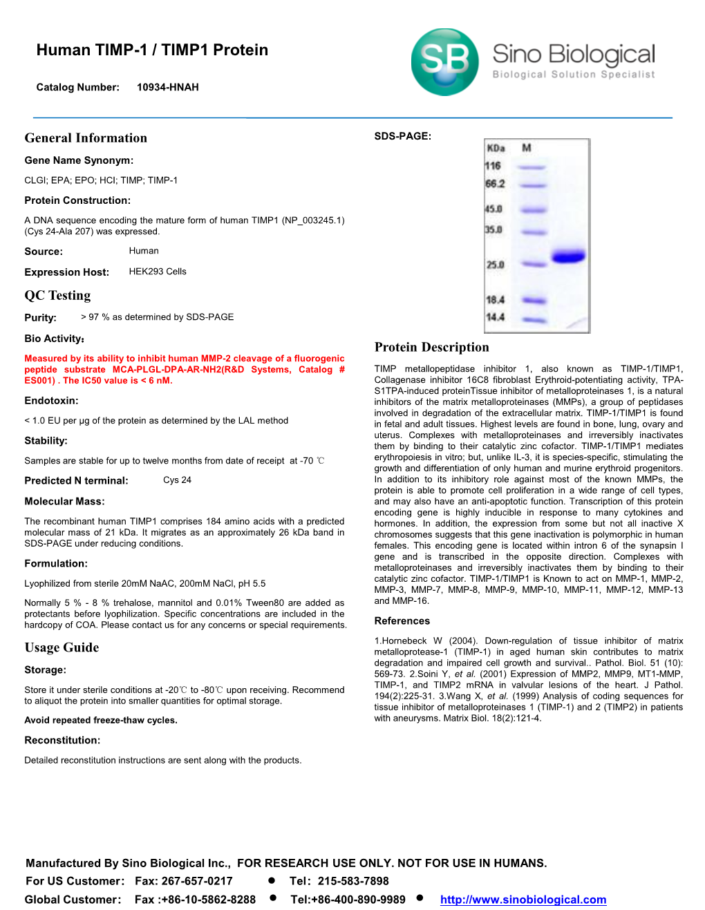 Human TIMP-1 / TIMP1 Protein