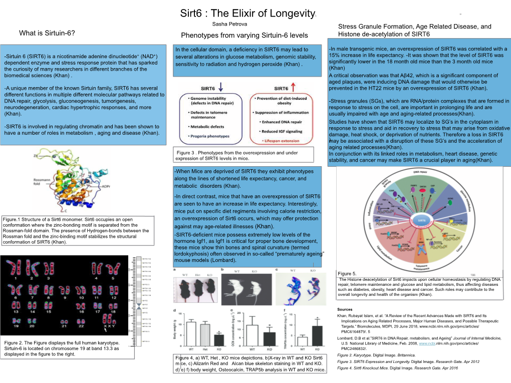 What Is Sirtuin-6? Phenotypes from Varying Sirtuin-6 Levels Histone De-Acetylation of SIRT6