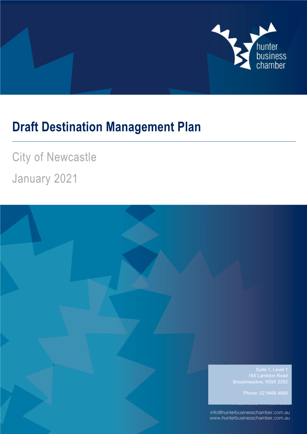 City of Newcastle Draft Destination Management Plan