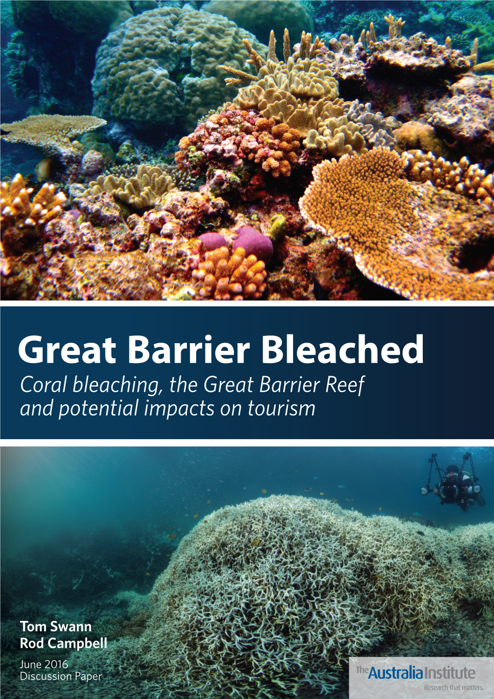 Coral Bleaching, the Great Barrier Reef and Potential Impacts on Tourism