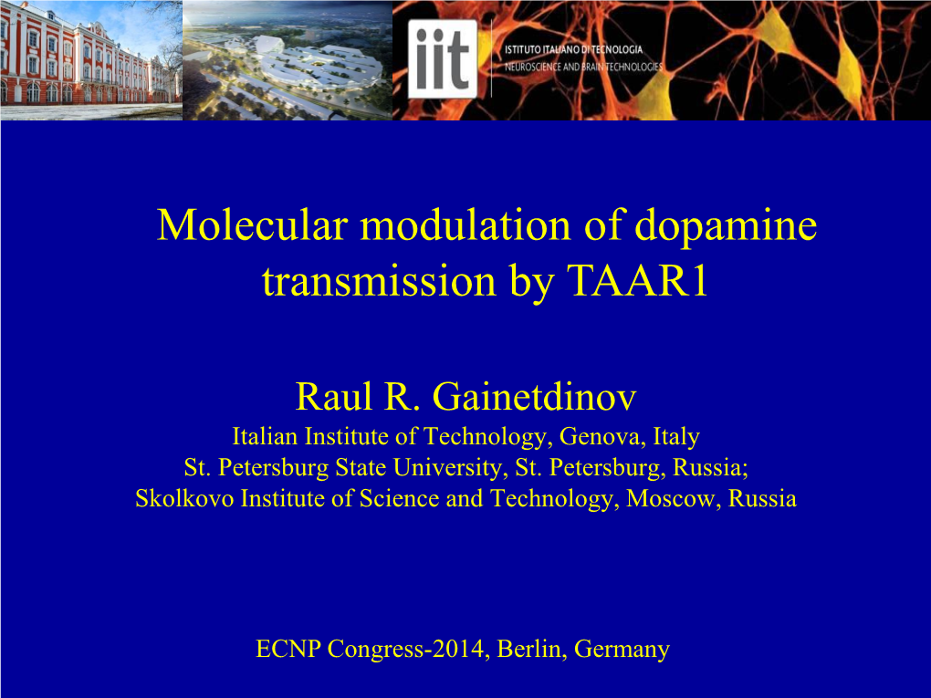 Molecular Modulation of Dopamine Transmission by TAAR1