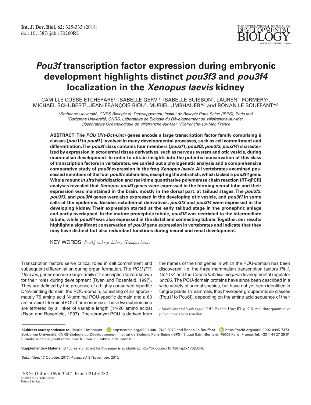 Pou3f Transcription Factor Expression During Embryonic Development