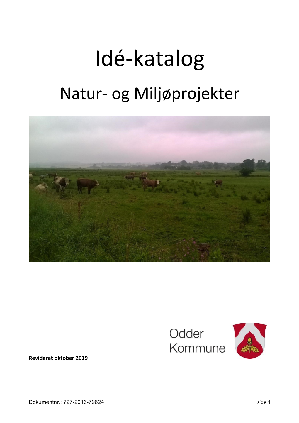 Idé-Katalog Over Natur- Og Miljøprojekter